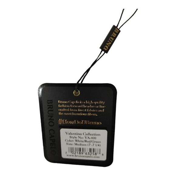 MEN'S BRUNO CAPELO VALENTINO COLLECTION STRAW FEDORA HAT FLAT WIDE 3" BRIM VA400 - Picture 7 of 8